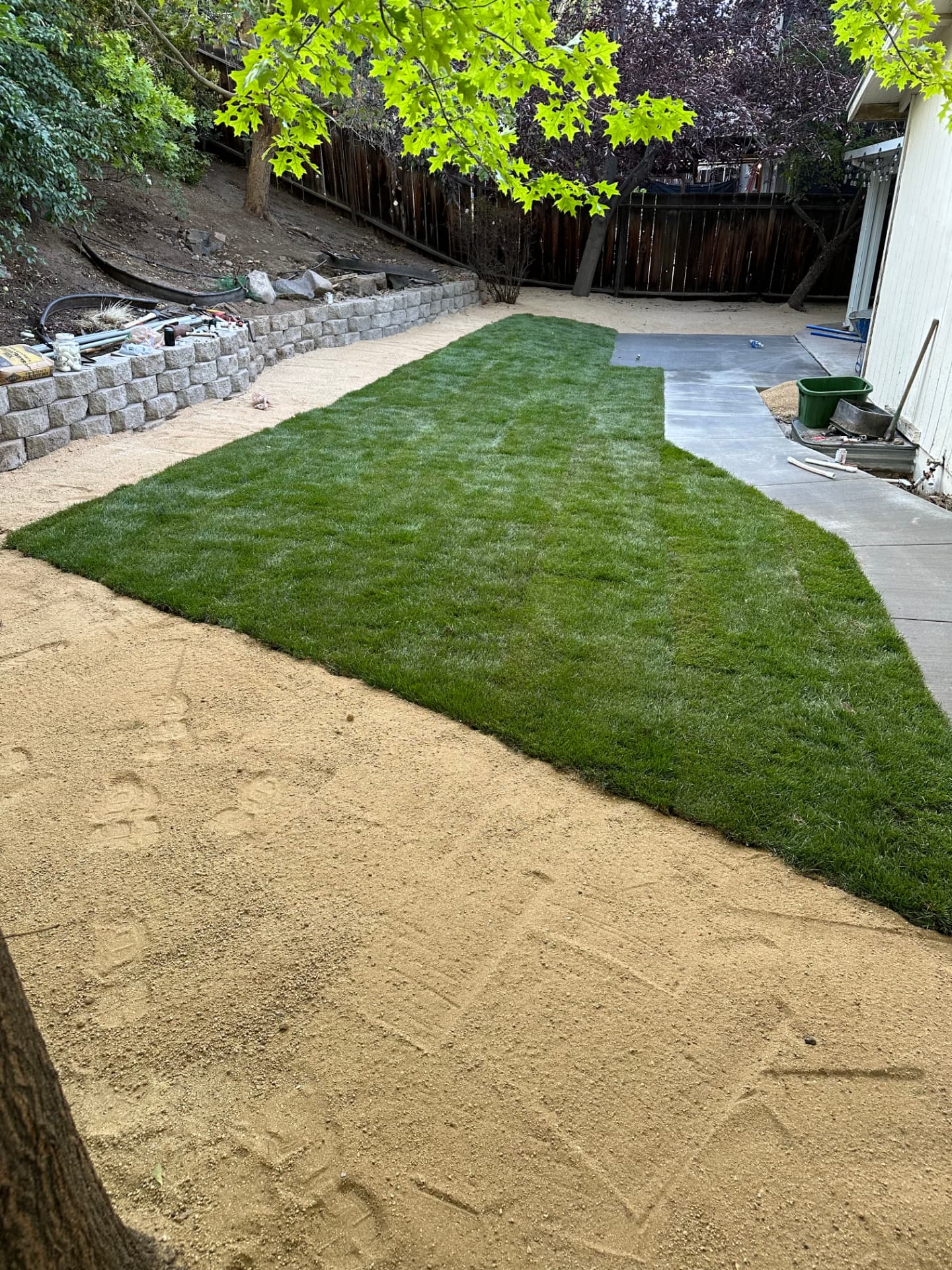 Newly installed backyard sod lawn with retaining wall and concrete walkway