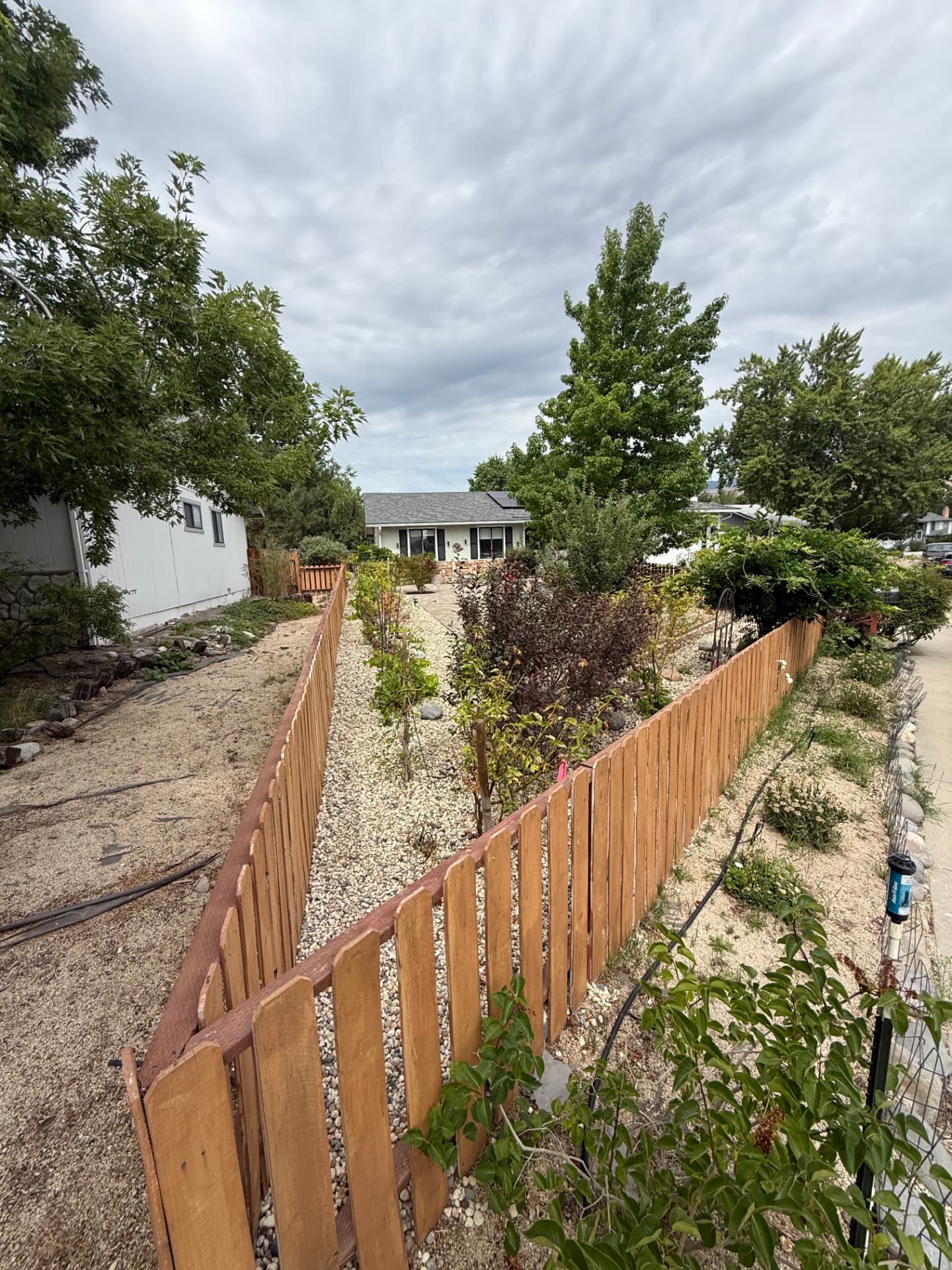 Finished front yard with gravel beds, new plantings, and paver walkway