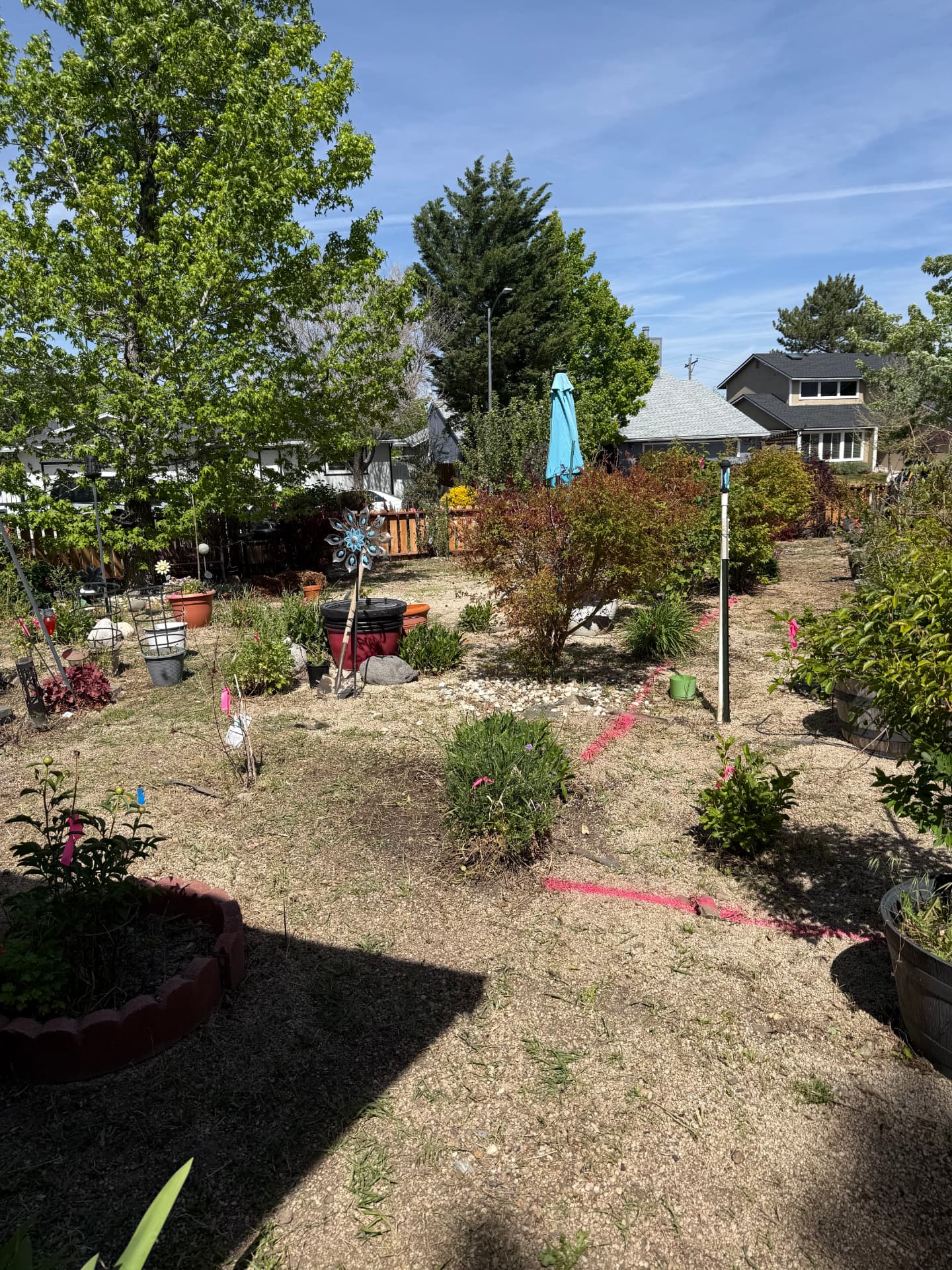 Backyard before hardscape work — patchy dirt, gravel, and scattered planters