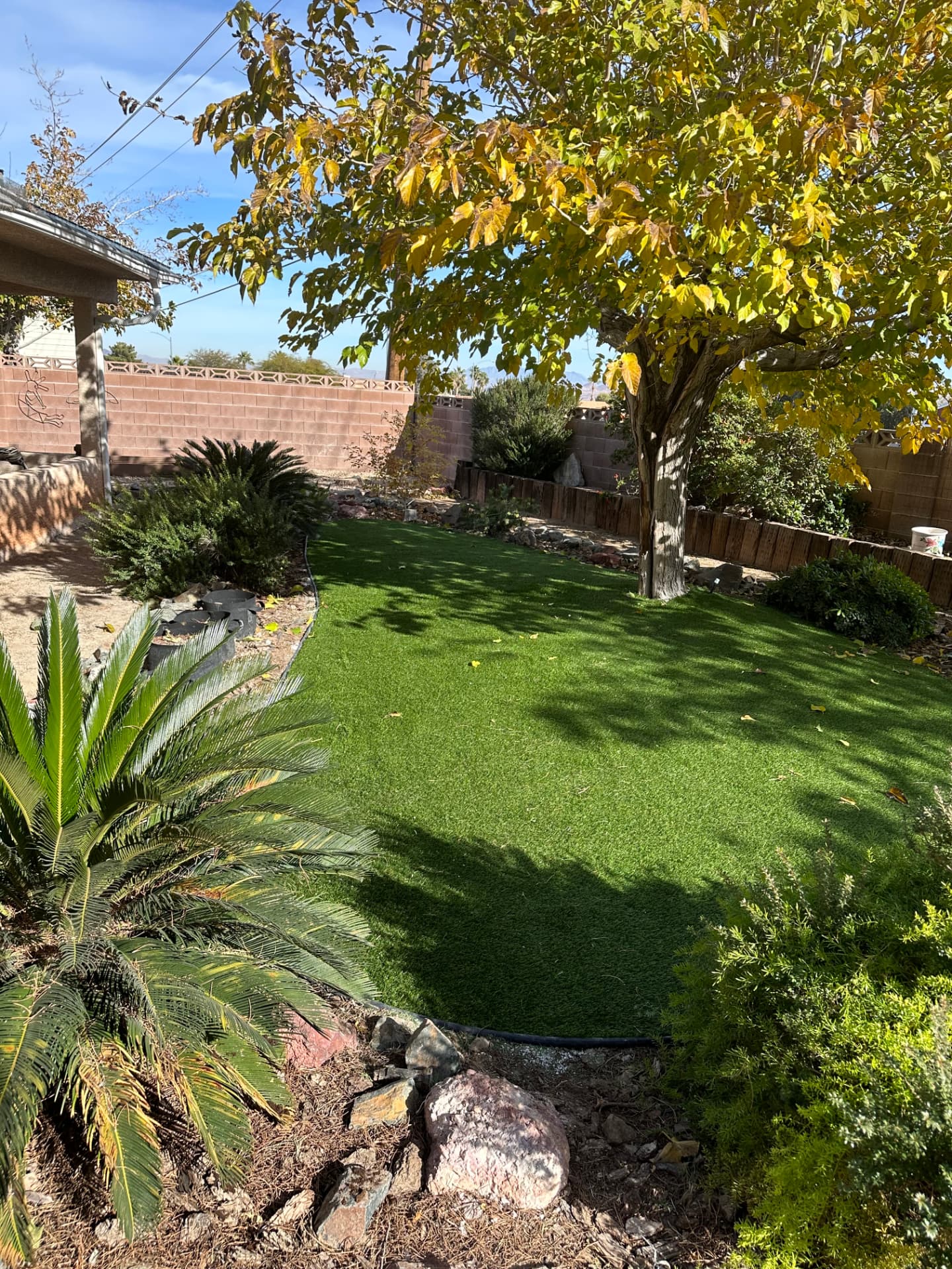 Completed backyard turf lawn with curved rock borders and mature shade tree