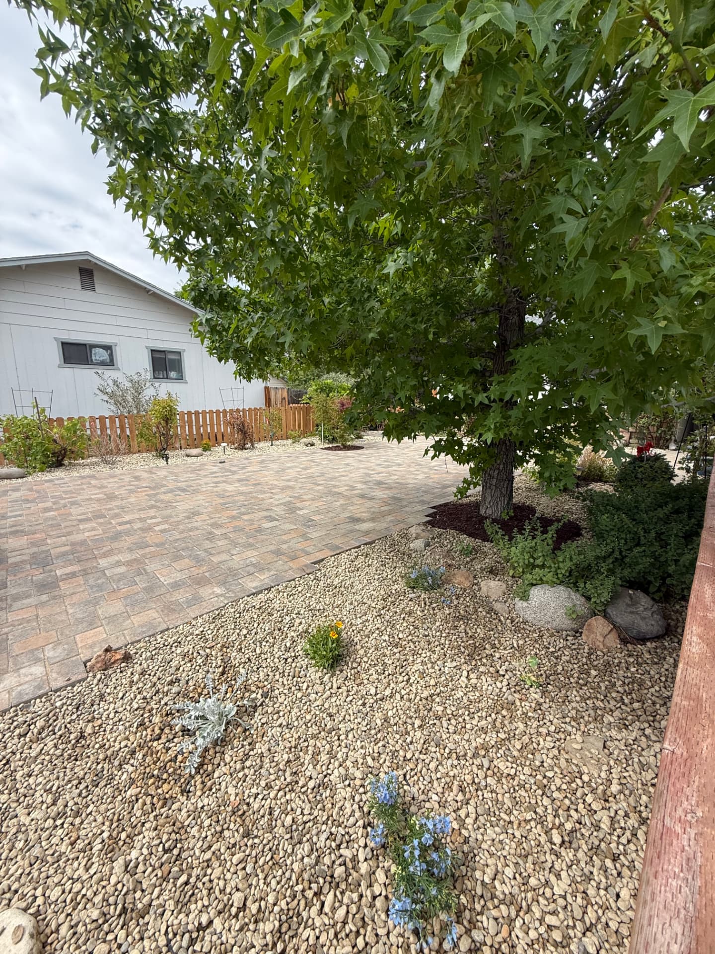 Finished paver patio bordered by decorative gravel and plantings