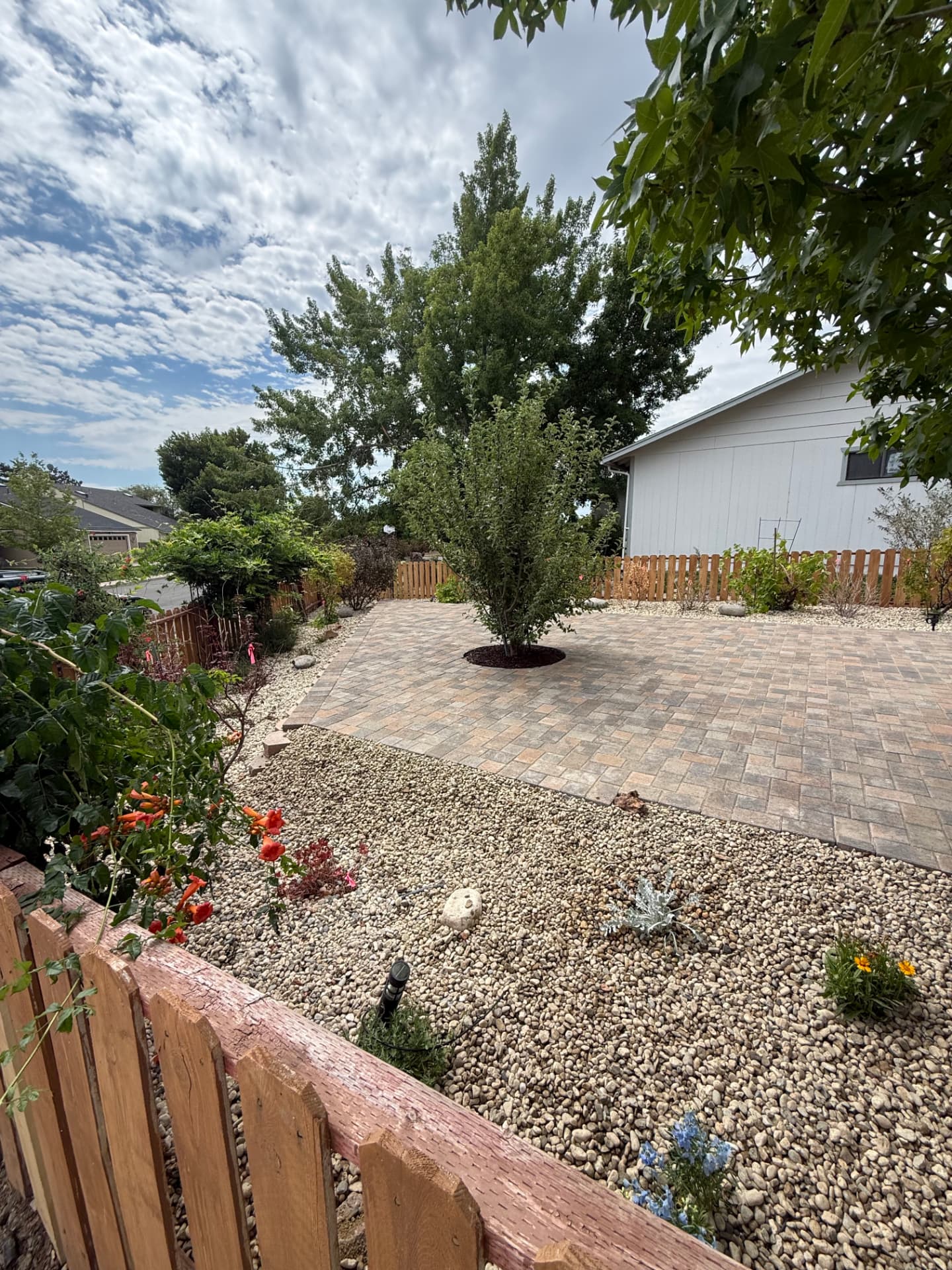 Completed paver patio with mature tree and river rock beds