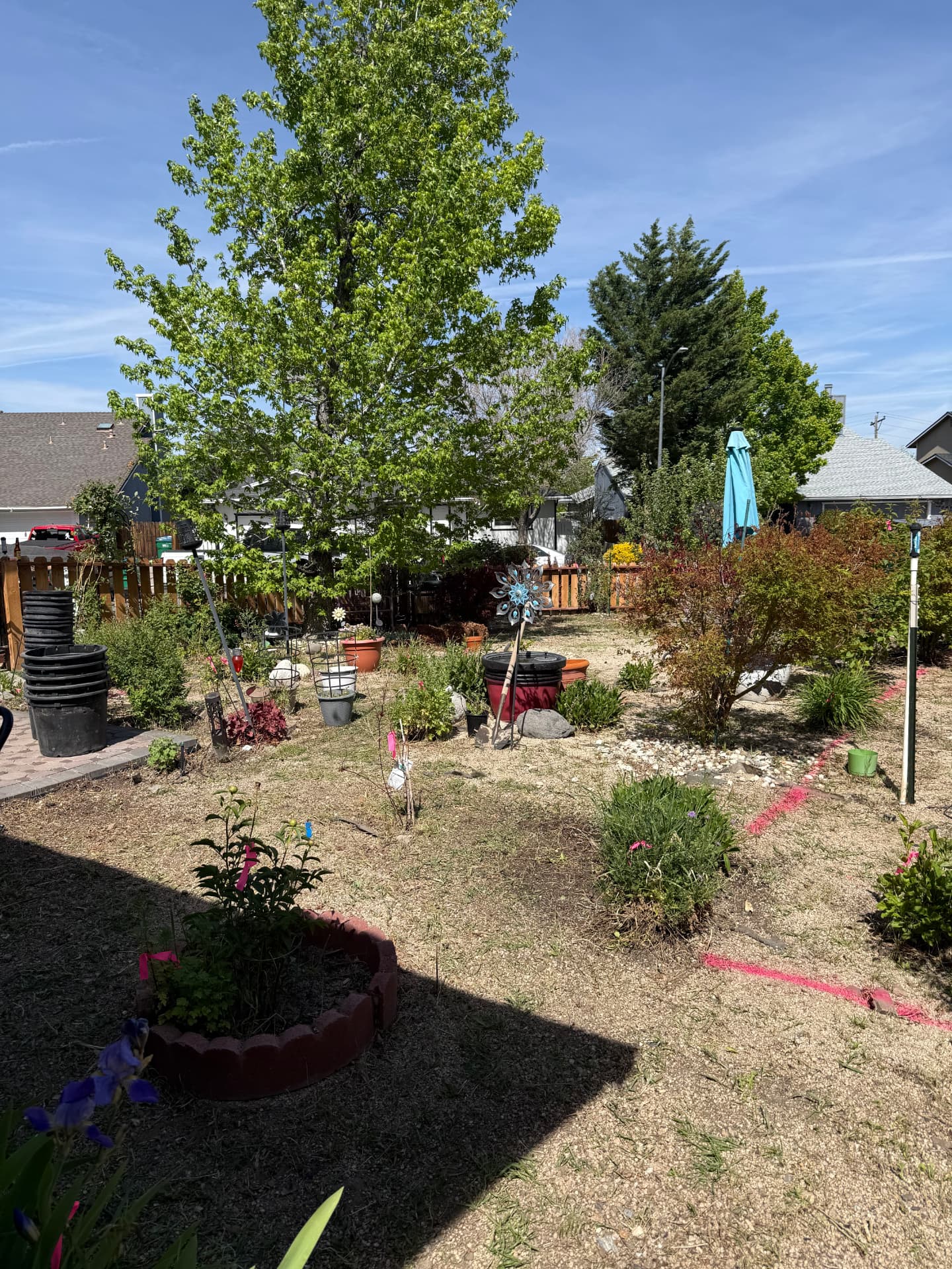 Second view of the backyard before construction began